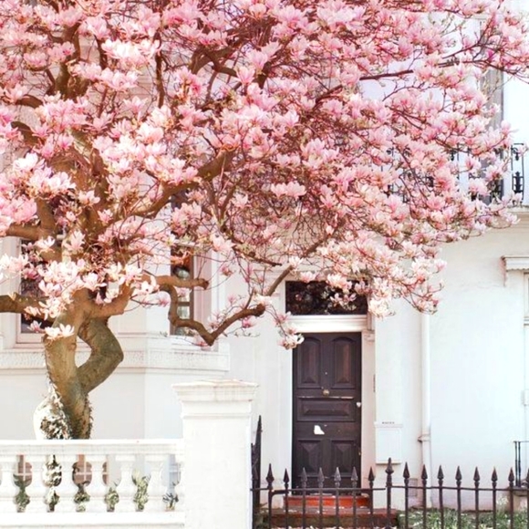 Accepting offers 😉 - Picture 1 of 1